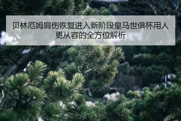 bei-lin-e-mu-jian-shang-hui-fu-jin-ru-xin-jie-duan-huang-ma-shi-ju-bei-yong-ren-geng-cong-rong-de-quan-fang-wei-jie-xi-2-281.jpg