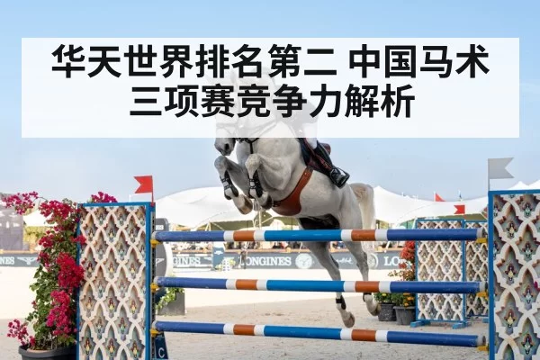 horse riding competition